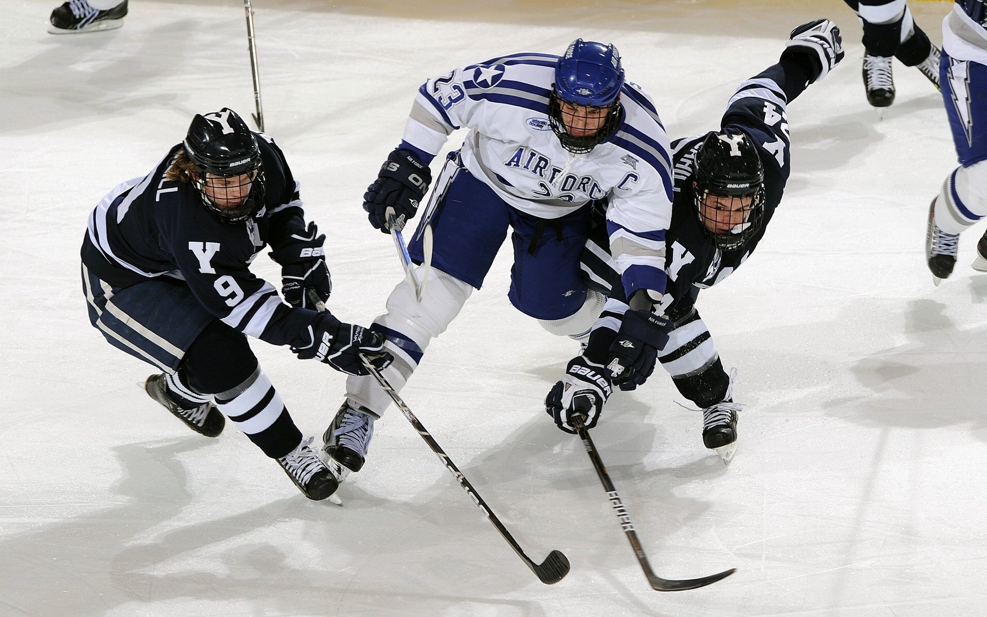 美国马术协会设立马匹福利基金，支持马匹退休生活。，美国马术协会polo
